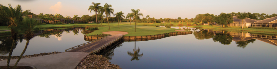 Estero Country Club at The Vines Real Estate